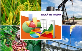 Hoàn thiện dự thảo Luật sửa đổi, bổ sung một số điều của Luật Giá đảm bảo chất lượng, đúng tiến độ