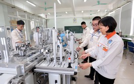 Bảo đảm tính đồng bộ, nâng cao hiệu quả quản lý, phát triển kỹ năng nghề