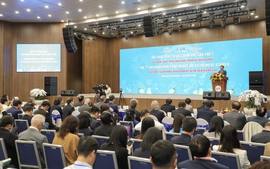 Có hàng trăm cơ sở nghiên cứu và giảng dạy Việt Nam học trên thế giới