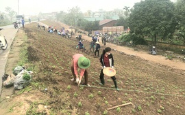 Nâng cao tiêu chí-Kiến tạo nông thôn thành miền quê đáng sống