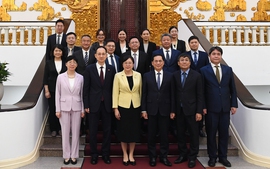 Quảng Đông đặc biệt coi trọng quan hệ hữu nghị, hợp tác với Việt Nam