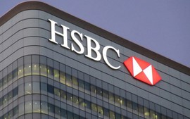 HSBC nâng dự báo tăng trưởng Việt Nam lên gần 8%, dẫn đầu ASEAN