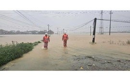 EVNCPC: Đặt an toàn điện trong vùng mưa lũ là ưu tiên hàng đầu