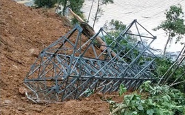 Khẩn trương khắc phục sự cố sạt lở làm ngã đổ cột điện  110kV Phước Sơn
