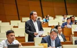 Bộ Nông nghiệp và Môi trường tham mưu Chính phủ trình Quốc hội 4 nhóm việc quan trọng