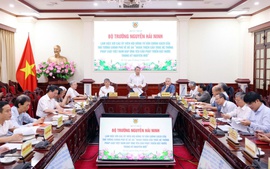 ‘Thiết kế’ tổng thể cho hệ thống pháp luật Việt Nam trong bối cảnh mới