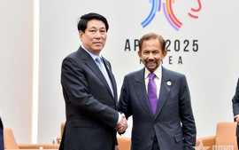 Chủ tịch nước Lương Cường hoan nghênh Quốc vương Brunei sẽ thăm Việt Nam trong năm 2025