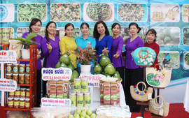 Hỗ trợ phụ nữ khởi nghiệp