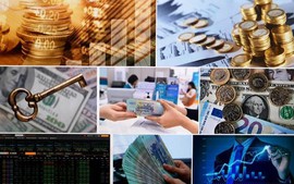 Chỉ đạo, điều hành của Chính phủ, Thủ tướng Chính phủ nổi bật tháng 10/2025