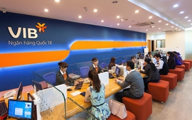 Chính sách mới có hiệu lực từ tháng 11/2025