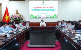 Thẩm định Nghị quyết về xây dựng, quản lý Cơ sở dữ liệu quốc gia về xử lý vi phạm hành chính