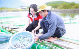 Dòng vốn tín dụng đang có sự điều chỉnh, chảy đúng hướng hơn