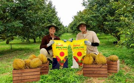 NPK Phú Mỹ chạm mốc 1 triệu tấn: Vững bước vì mùa bội thu
