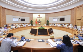 Phân công Thành viên Chính phủ chủ trì làm việc với các địa phương về tình hình sản xuất kinh doanh và thực hiện chính quyền 2 cấp