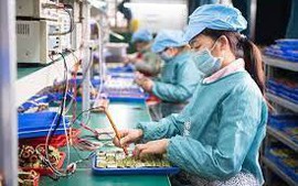 Tiếp tục phân loại DNNN theo Quyết định 22/2021/QĐ-TTg đến khi có văn bản thay thế, nhưng không quá 31/12/2025