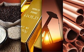 THỊ TRƯỜNG HÀNG HÓA: Lực mua áp đảo đưa MXV-Index lên đỉnh cao nhất kể từ cuối tháng 9