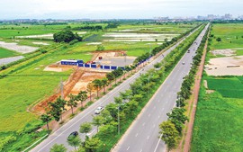 Chỉ đạo, điều hành của Chính phủ, Thủ tướng Chính phủ ngày 8/10/2025