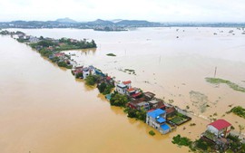 Chống tràn khẩn cấp tuyến đê Hà Châu