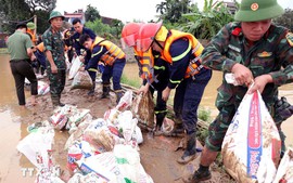 Tổ chức chống tràn trên một số tuyến đê tại Thái Nguyên, Bắc Ninh
