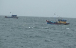 Vùng Cảnh sát biển 2 bắt giữ hai tàu cá vi phạm IUU