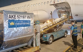 Gần 500kg hàng hóa hỗ trợ vùng lũ đã được Vietnam Airlines vận chuyển đến Huế