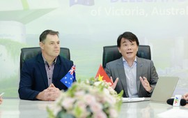 Sức mạnh liên kết: Bệ phóng giúp doanh nghiệp sữa Việt vươn tầm thế giới