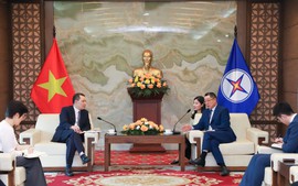EVN và TBEA Henyang tăng cường hợp tác trong các dự án năng lượng