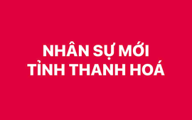 Phê chuẩn kết quả bầu, bãi nhiệm chức vụ Phó Chủ tịch UBND tỉnh Thanh Hóa