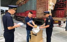 Chống buôn lậu vàng, hàng giả và ma túy trên các tuyến trọng điểm