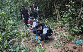 Hệ lụy từ việc đình chỉ Tuyên bố hòa bình Thái Lan - Campuchia