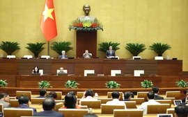 Đề xuất rà soát, cắt giảm 25 ngành, nghề kinh doanh có điều kiện