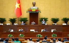 Cân nhắc kỹ các yếu tố được xem là tình tiết để xét giảm án