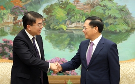 Phó Thủ tướng Bùi Thanh Sơn tiếp Giám đốc điều hành Tập đoàn Warburg Pincus