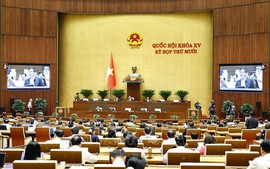 Thông cáo báo chí số 19, Kỳ họp thứ 10, Quốc hội khóa XV