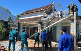 Chỉ đạo, điều hành của Chính phủ, Thủ tướng Chính phủ ngày 12/11/2025