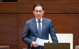 Phó Thủ tướng Bùi Thanh Sơn: Luật Thương mại điện tử phải vừa kiến tạo phát triển, vừa bảo vệ người tiêu dùng