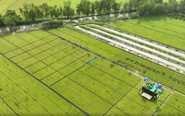 Ngành Trồng trọt bước vào giai đoạn phát triển xanh