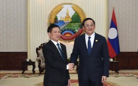 Phó Thủ tướng Hồ Đức Phớc hội kiến Thủ tướng Lào Sonexay Siphandone