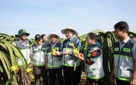 Khuyến nông 'bắt tay' doanh nghiệp: 'Thiên thời, địa lợi, nhân hòa' cho 1 triệu ha lúa chất lượng cao