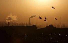 Khí thải từ nhiên liệu hóa thạch cao kỷ lục trong năm 2025