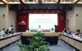 Cần cơ chế, chính sách đặc thù để phát triển TP. Đà Nẵng