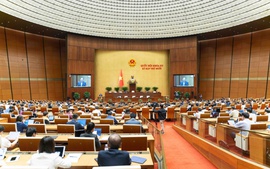 Nghiên cứu, tiếp thu đầy đủ các ý kiến đóng góp đối với dự án Luật Xây dựng (sửa đổi)