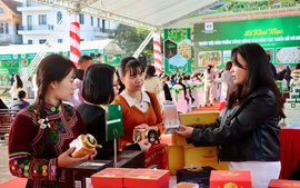 Khai mạc Ngày hội sản phẩm vùng đồng bào dân tộc thiểu số và miền núi phía Bắc