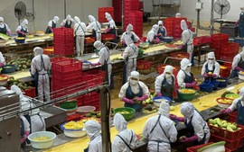 Khoa học nông nghiệp: Từ phòng thí nghiệm đến cánh đồng