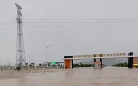 Lũ lớn tại Khu công nghiệp Du Long, EVNCPC chủ động cắt điện nhằm bảo đảm an toàn