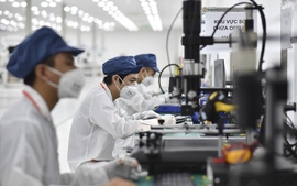 Đẩy mạnh ứng dụng trí tuệ nhân tạo thu thập, xử lý thông tin thống kê ngành khoa học và công nghệ