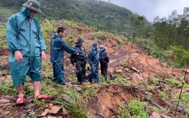 Phát hiện nhiều vết nứt ở núi Ngang, Đà Nẵng sơ tán khẩn cấp 59 hộ dân