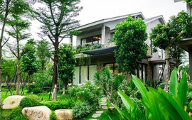 Nhà dưới tán rừng của Ecopark: Xóa nhòa ranh giới giữa tiện nghi và sinh thái