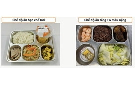 Dinh dưỡng: Yếu tố quan trọng trong quá trình hồi phục điều trị