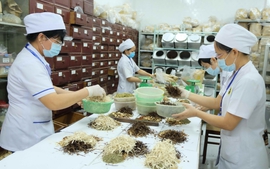 Đề xuất hướng dẫn hoạt động của y học cổ truyền trong cơ sở khám, chữa bệnh